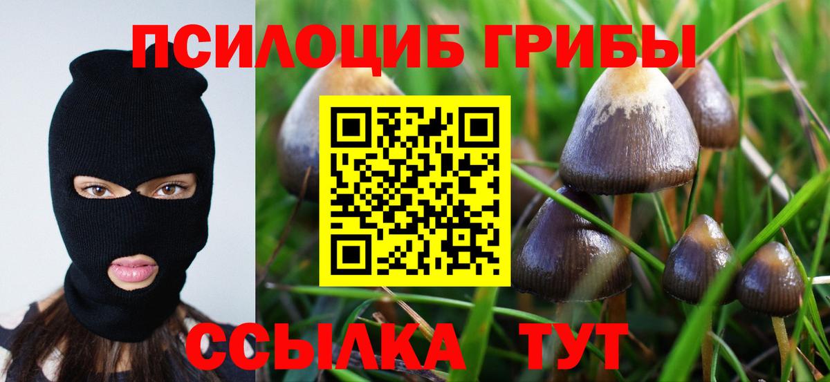 Псилоцибиновые грибы мухоморы Севастополь